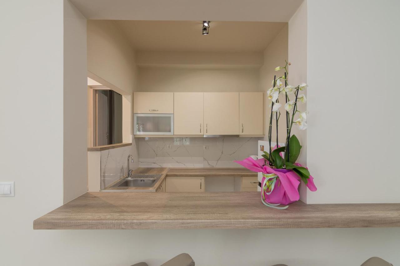 Apartament Renovated Panorama Loft: Athens Terrace Gem Zewnętrze zdjęcie
